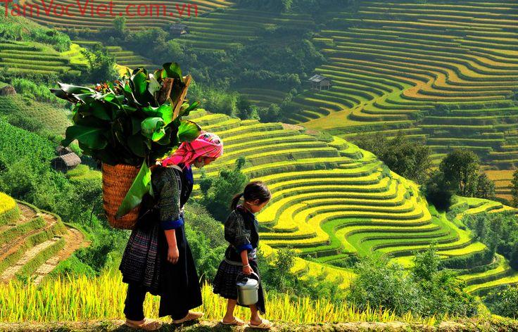 Pin on 19 Beautiful Reason to Visit Vietnam