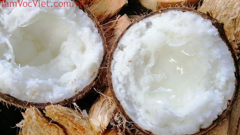 Dừa sáp là gì mà giá cực đắt? Những cách chế biến dừa sáp ngon
