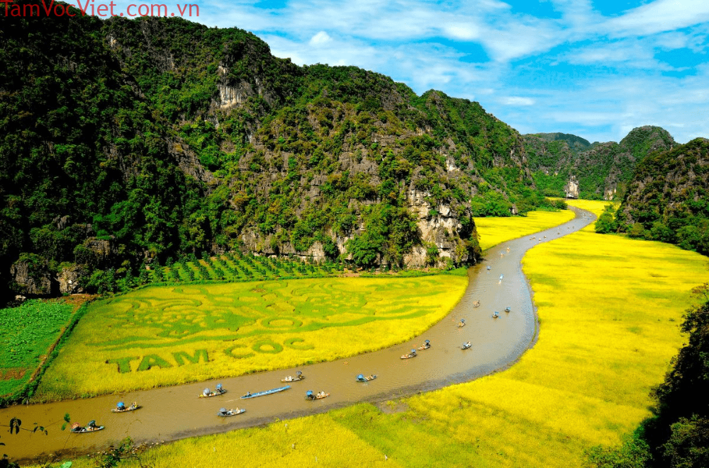 Tam Cốc Ninh Bình - Kinh nghiệm du lịch chi tiết 2026
