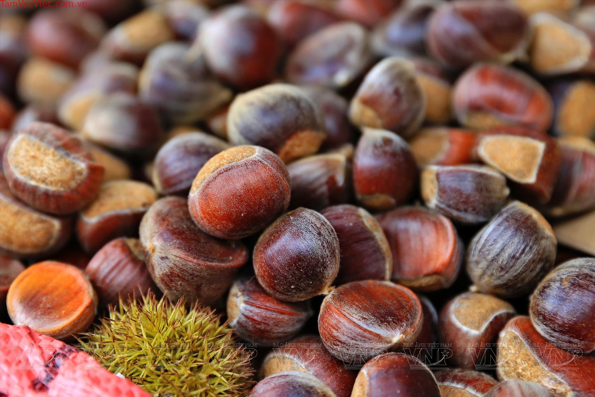 Hạt dẻ Trùng Khánh