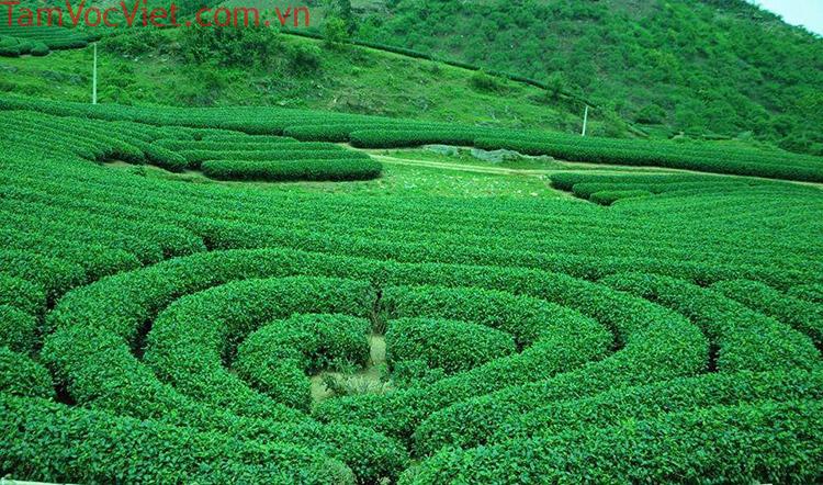 Tour Hà Nội - Mai Châu - Mộc Châu 2 Ngày 1 Đêm