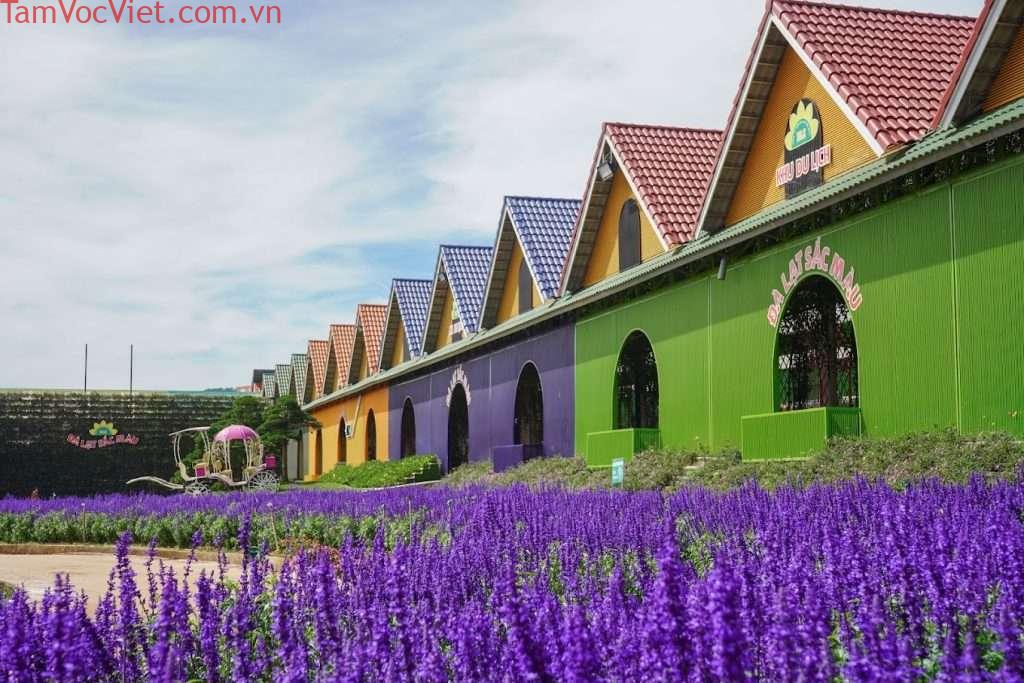 Làng hoa Vạn Thành: Vườn Hoa Tuyệt Sắc Giữa Lòng Đà Lạt