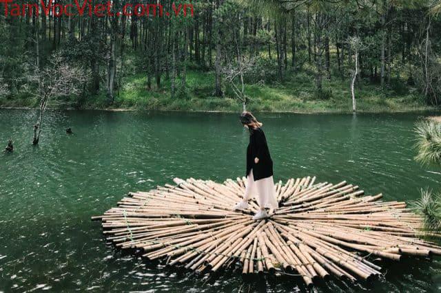 Mê mẩn thiên đường sống ảo Secret Garden Đà Lạt - Vntrip.vn