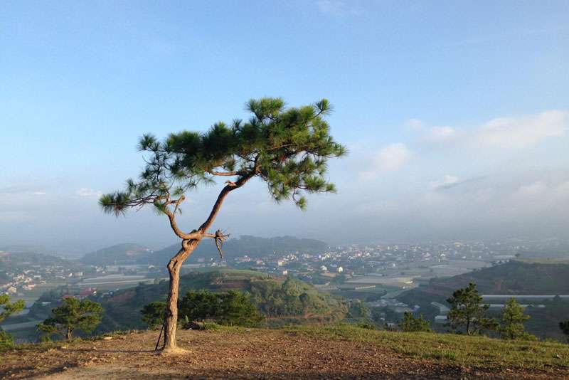 Đồi Thiên Phúc Đức Đà Lạt: kinh nghiệm tham quan cho bạn