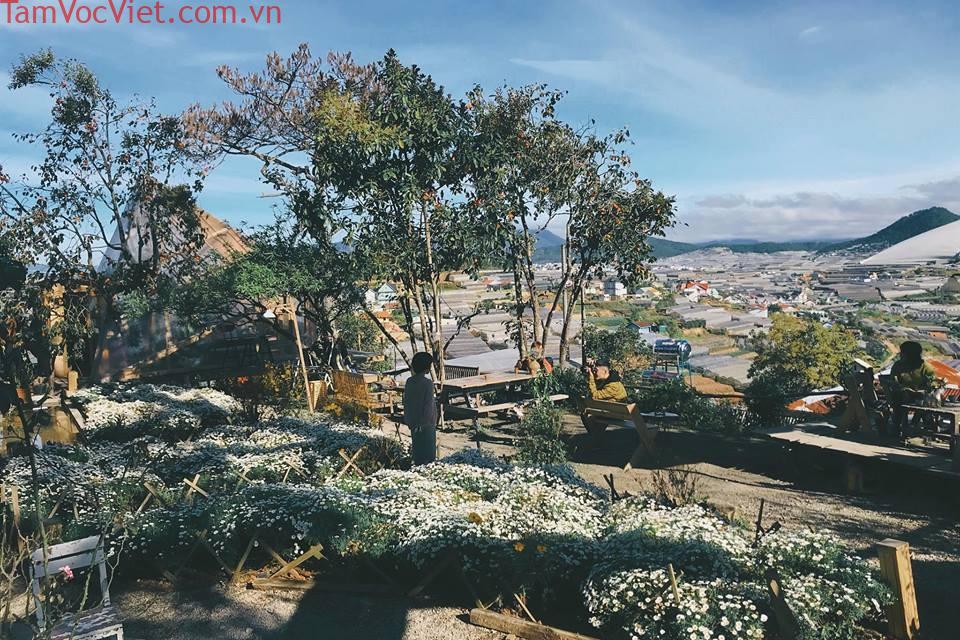 Tiệm cà phê Túi Mơ To - Ở đây có nhiều góc sống ảo lắm nè