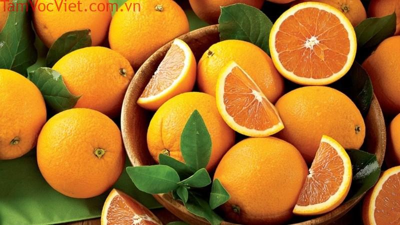 Cách bảo quản cam tươi lâu và bảo quản nước cam không bị đắng | TH Lê Đức Thọ