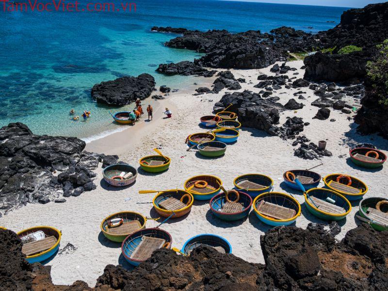 Bỏ túi kinh nghiệm du lịch Lý Sơn 2026 và lịch trình từ A-Z 21