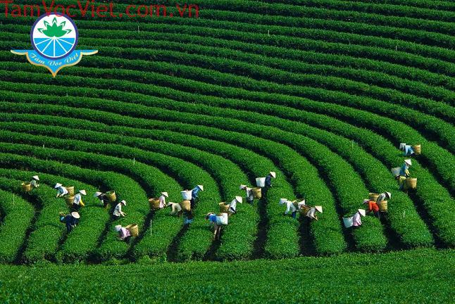 dbd0fe790ca1f5ffacb0