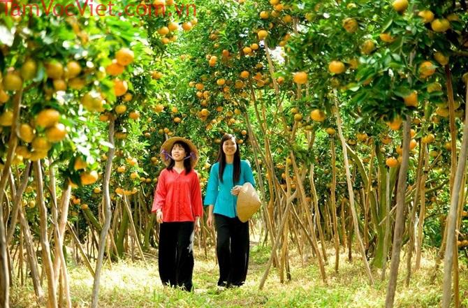 VƯỜN TRÁI CÂY CÁI MƠN - Du Lịch Let's Tour