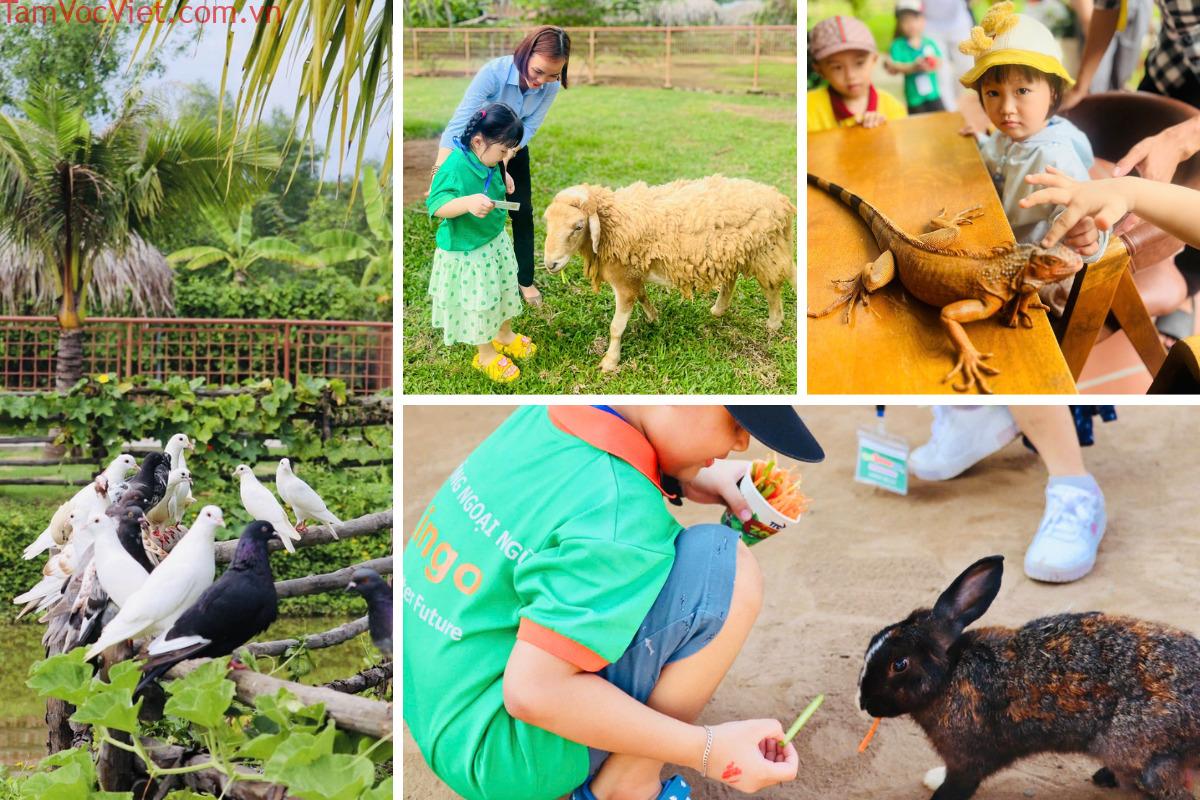 TTC Mekong Aqua Park - Review Tất Tần Tật Công Viên Nước Lớn Số 1 Bến Tre