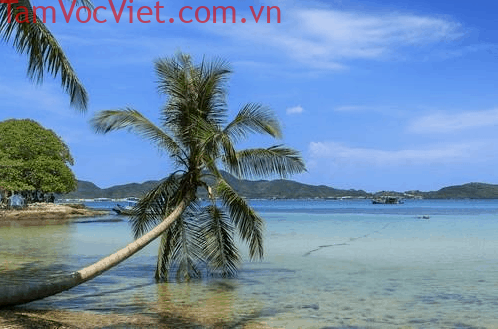 Thiên đường bị lãng quên” trên đảo Nam Du - Hòn Dầu Nam Du