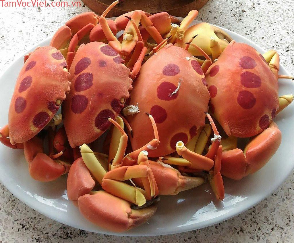 Cua mặt trăng - hải sản quý hiếm được săn lùng ở đảo Phú Quý
