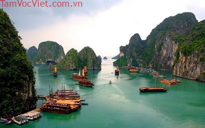 Du lịch vịnh Lan Hạ Cát Bà đang được nhiều du khách yêu thích (Nguồn: Sưu tầm)