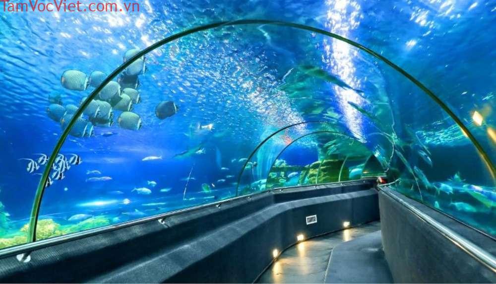 Viện Hải Dương học Nha Trang - thế giới đại dương bao la