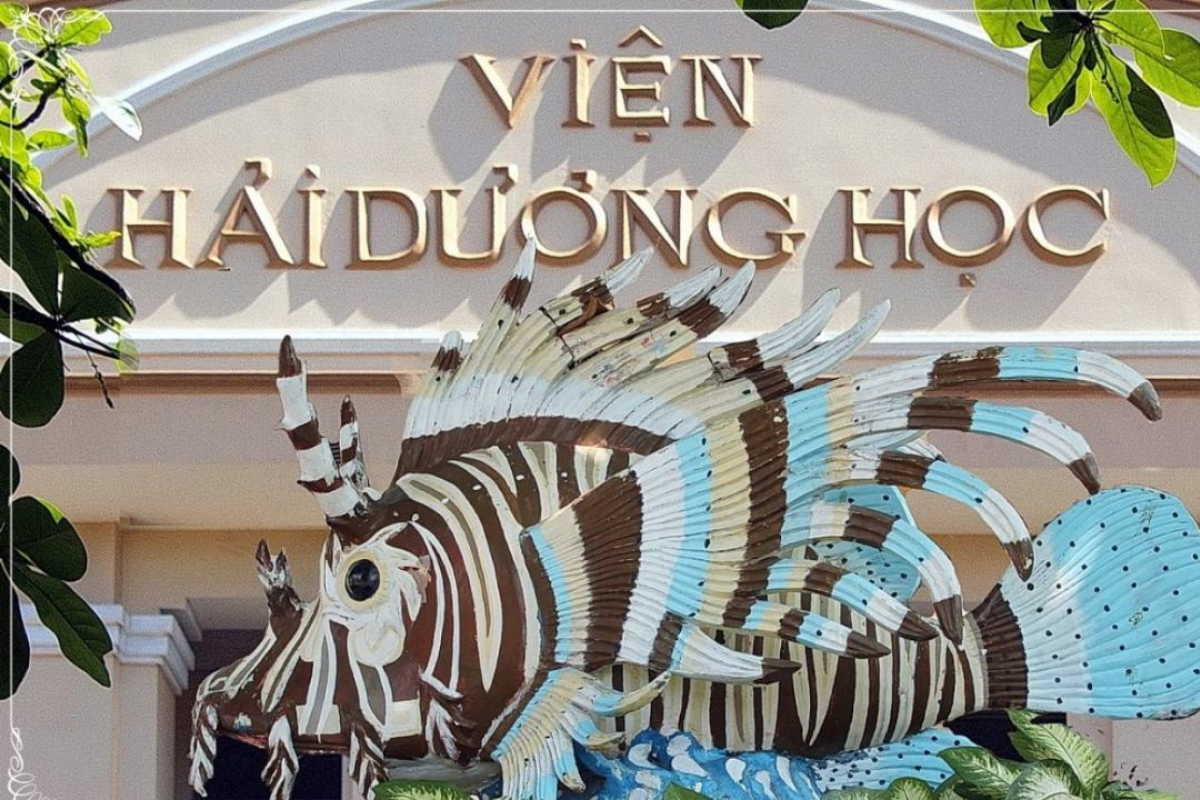 Review từ A ->Z thông tin về Viện Hải Dương Học Nha Trang