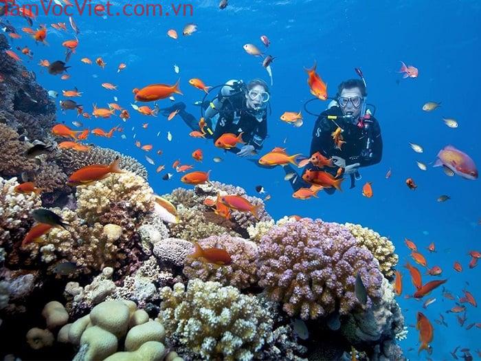 Lặn biển Nha Trang ở đâu? Bí kíp vui chơi AN TOÀN tuyệt đối