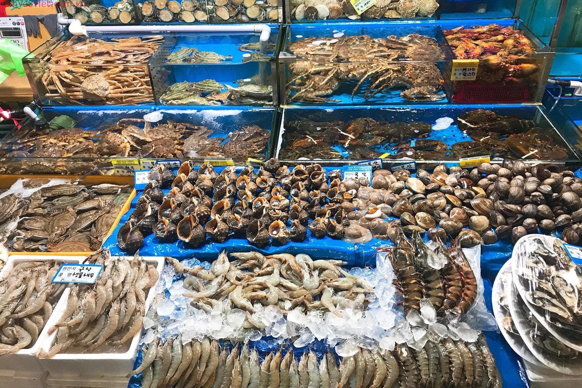Top 3 Cơ Sở Phân Phối Hải Sản Tươi Sống Tại Được Yêu Thích Nhất Quận 8