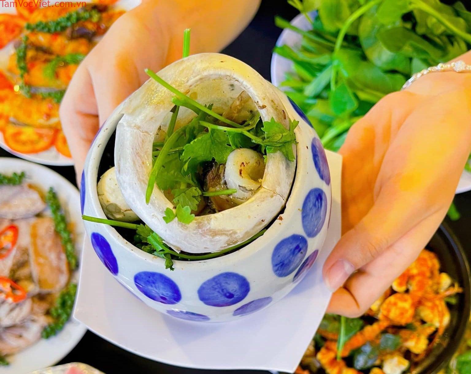 Mắt cá ngừ đại dương Phú Yên