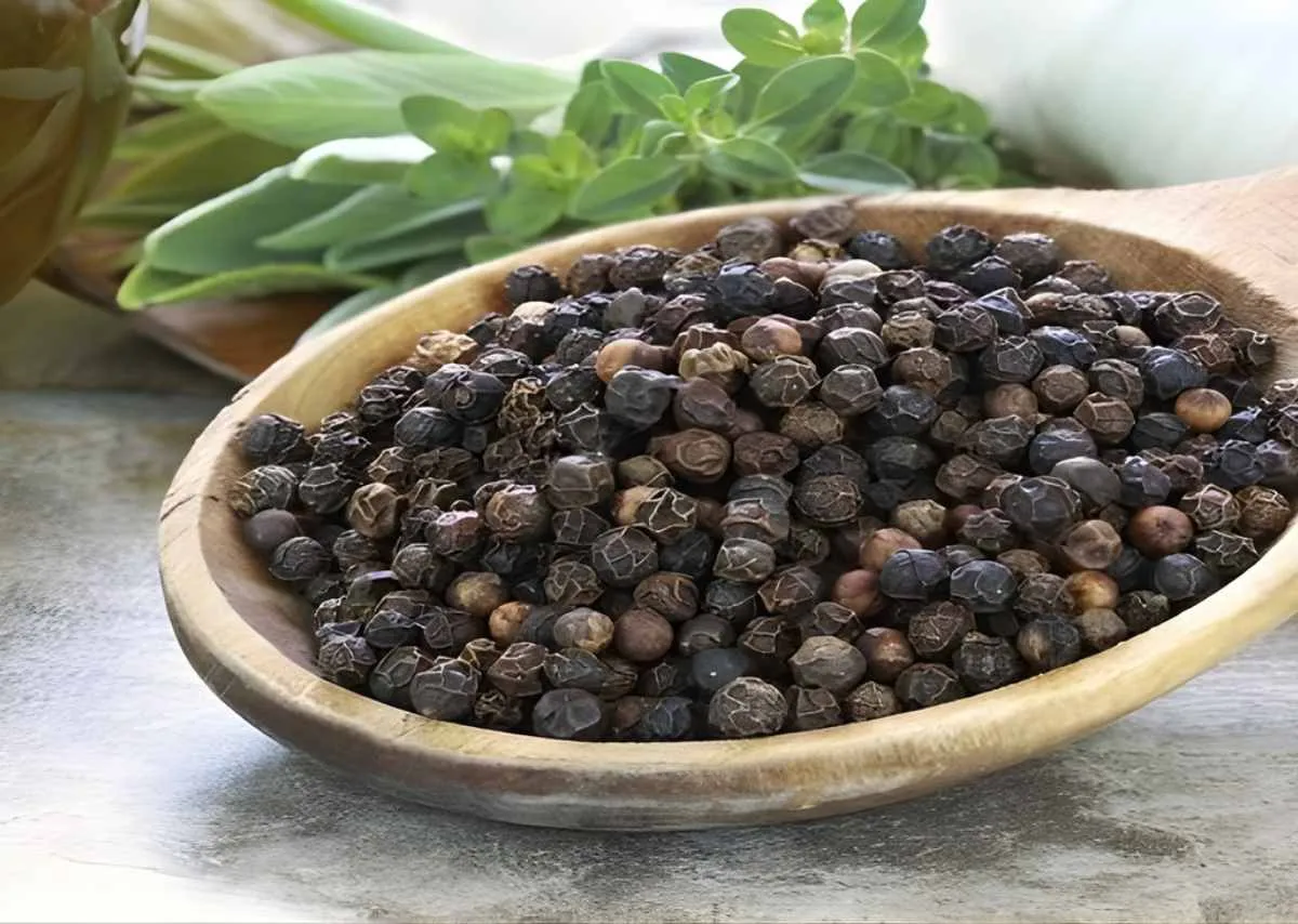 Tiêu đen Vĩnh Linh - đặc sản đậm vị của đất Quảng Trị