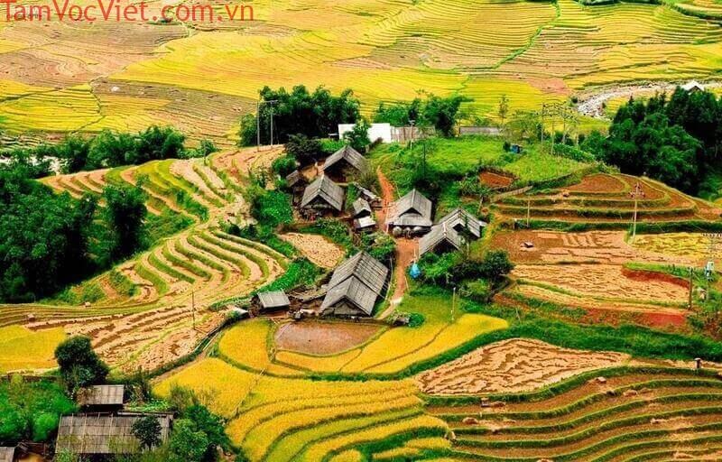 Chiêm ngưỡng thung lũng Mường Hoa: Vẻ đẹp kỳ vĩ giữa mây trời Sapa - Đặt vé xe khách, vé tàu trên ví VNPAY và app ngân hàng ngay để trải nghiệm