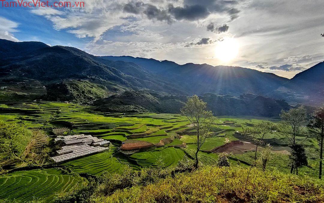 Ảnh:@tonco_gombicka