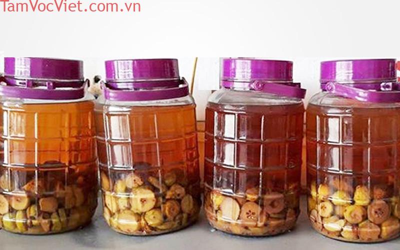 Lợi ích tác dụng của rượu táo mèo với sức khoẻ mà nhiều người chưa biết