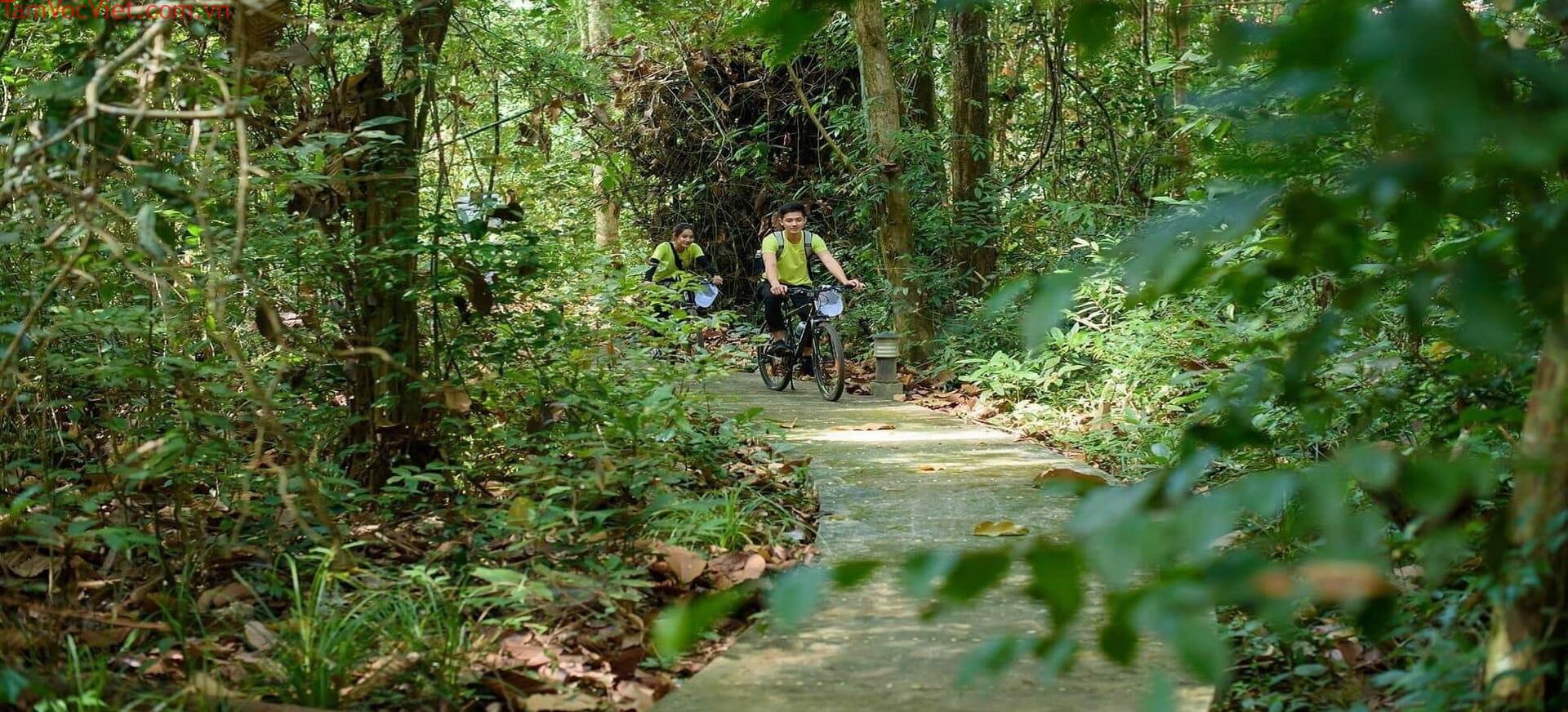 Vườn quốc gia Lò Gò Xa Mát: Điểm đến hấp dẫn ở Tây Ninh – VinWonders