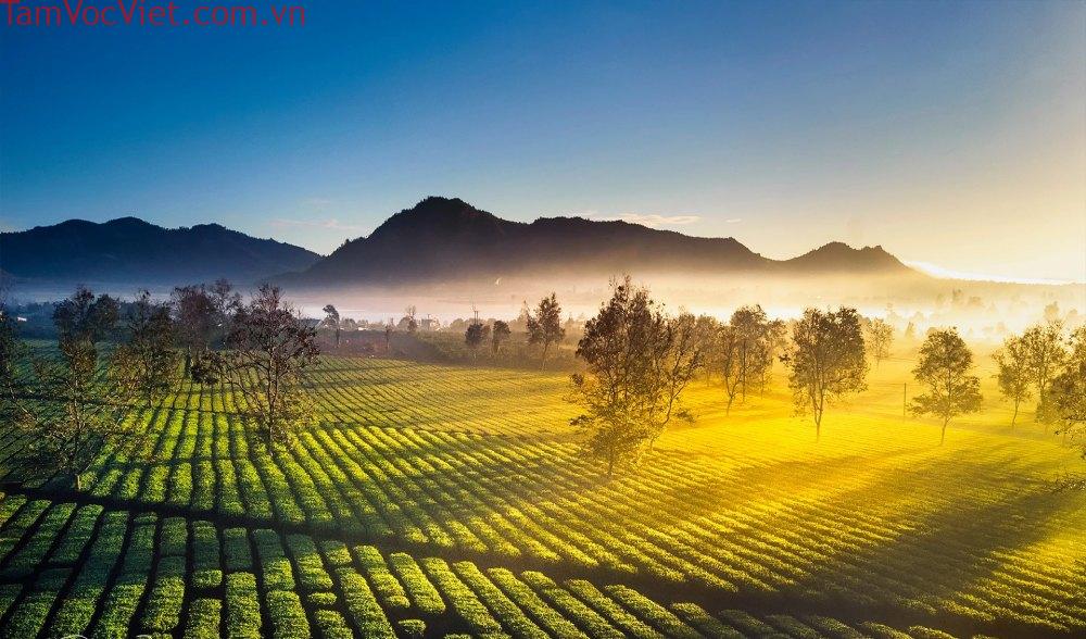 Đắm chìm trong vẻ đẹp Biển Hồ Chè – Nàng thơ của Gia Lai | Xanh SM