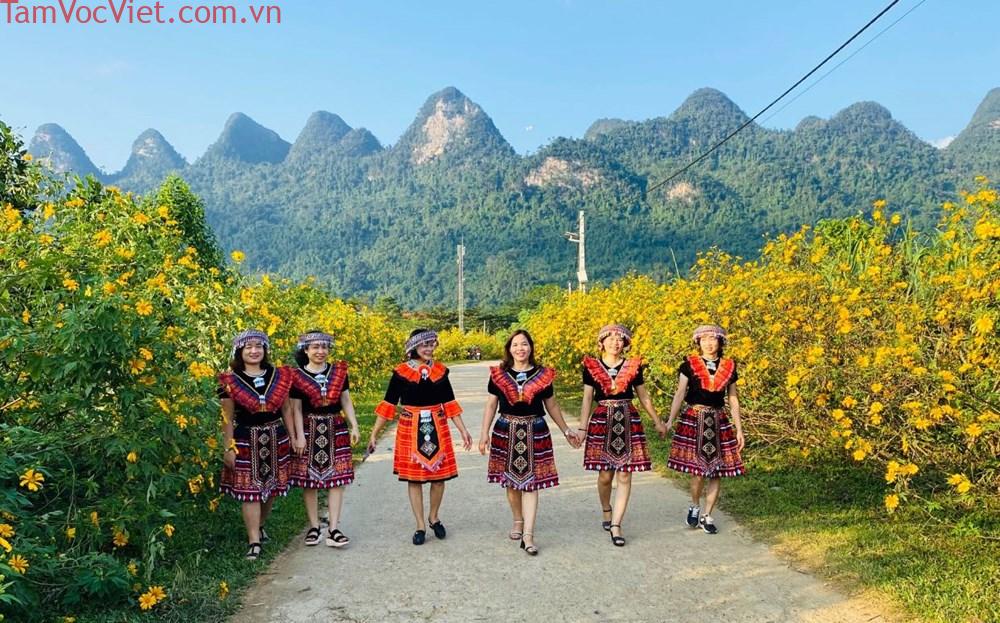 Tháng 11, hẹn nhau lên vùng cao nguyên đá ngắm dã quỳ nở rộ