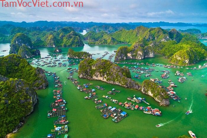 Cẩm nang du lịch Cát Bà Hải Phòng tự túc SIÊU CHI TIẾT