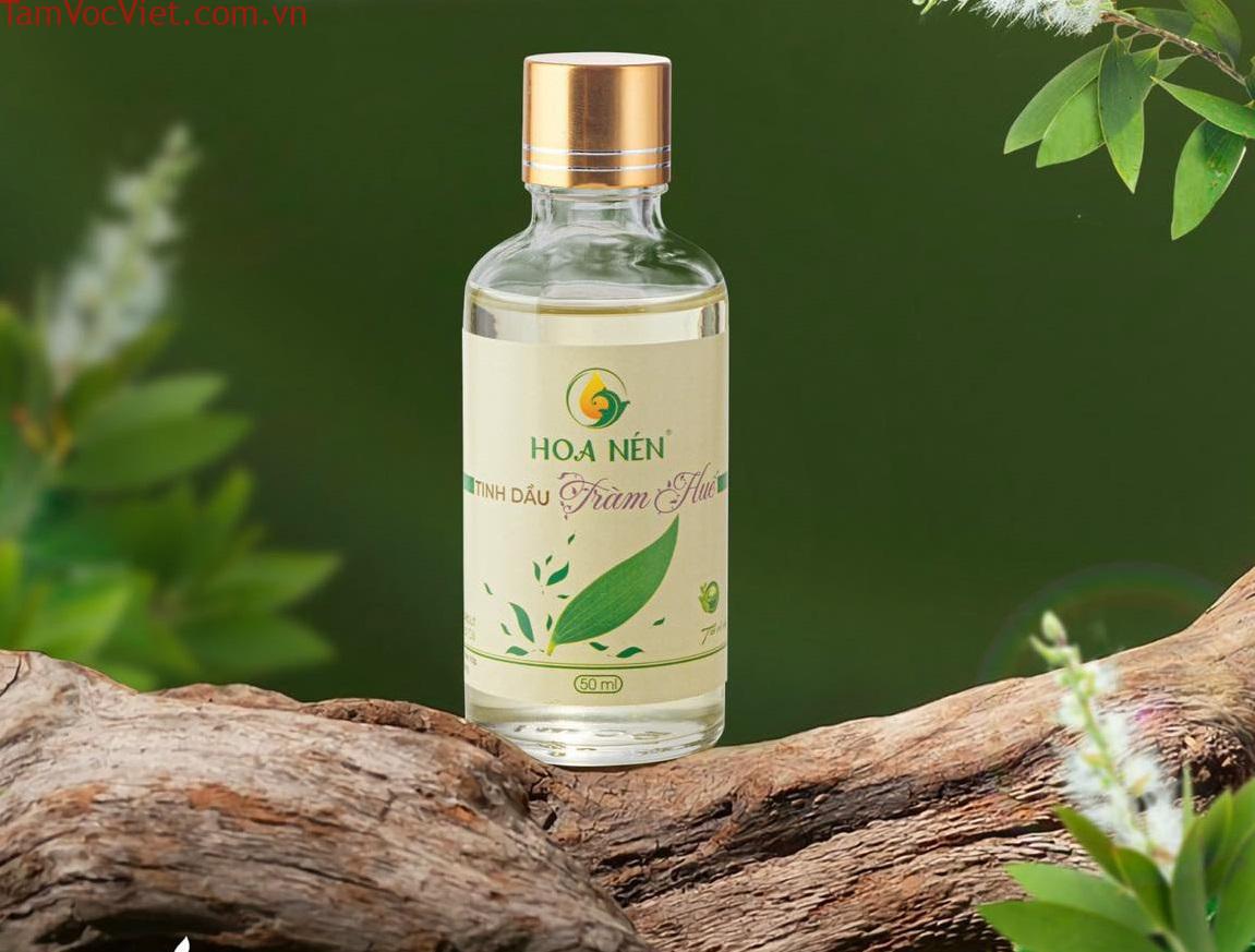 Top 5 địa chỉ mua tinh dầu tràm tốt nhất tại Huế - khamphahue.com.vn