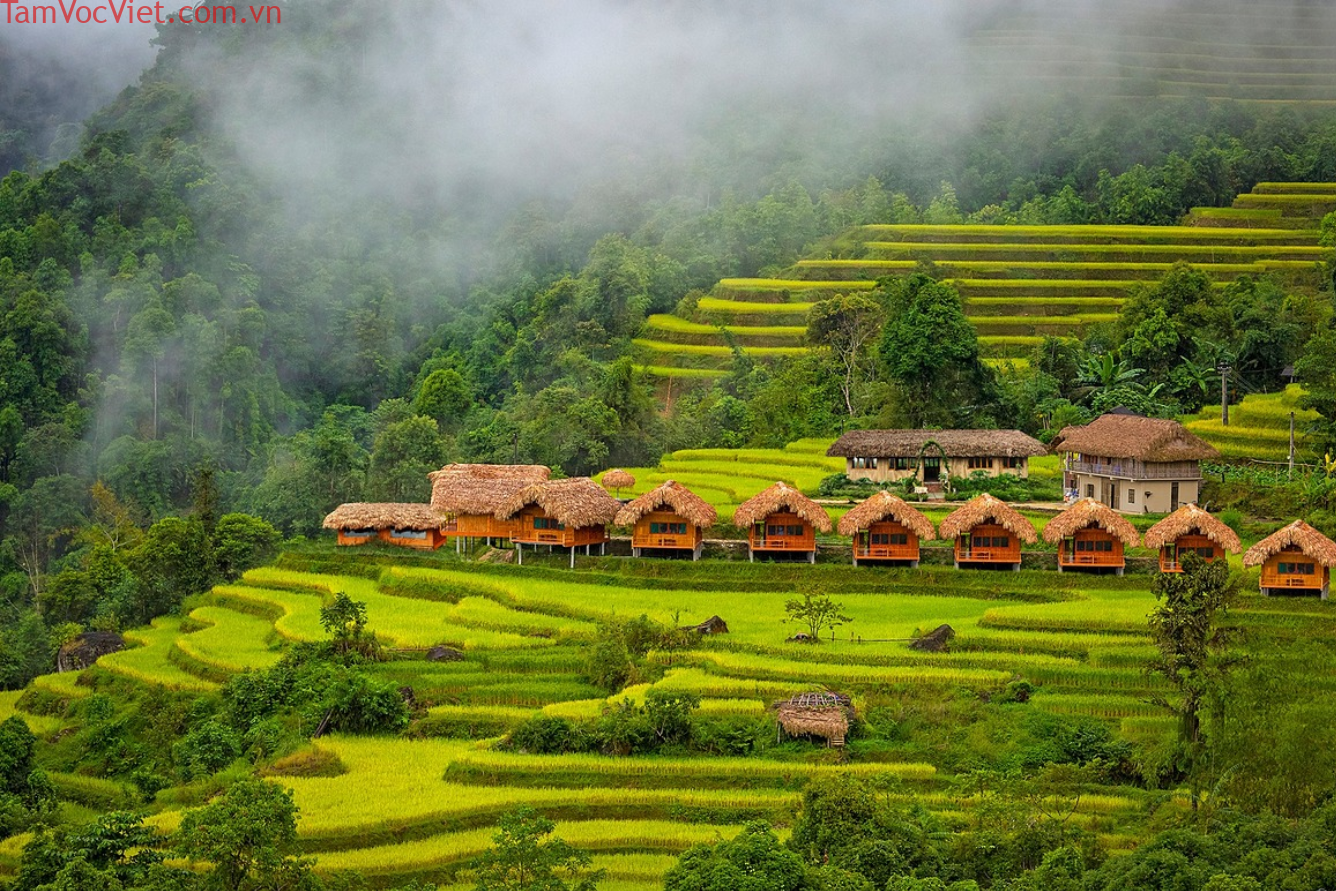Kinh nghiệm du lịch Hà Giang - Nơi “đá cũng nở hoa”