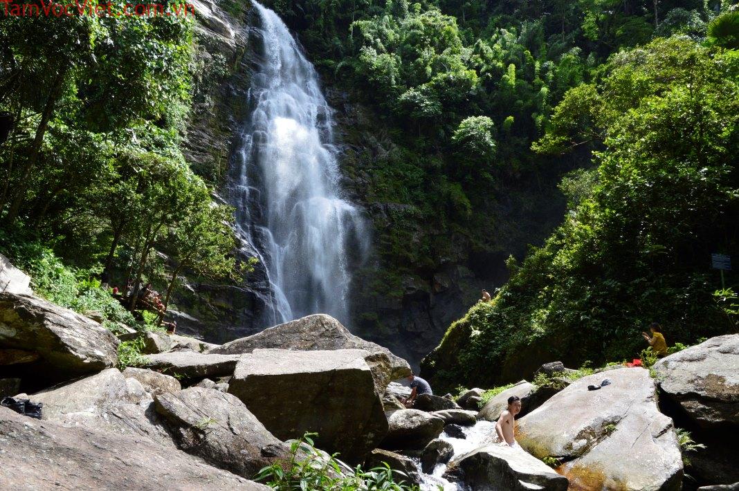 Tìm về vườn quốc gia Pù Mát, 'điểm đến xanh' nơi miền Tây xứ Nghệ