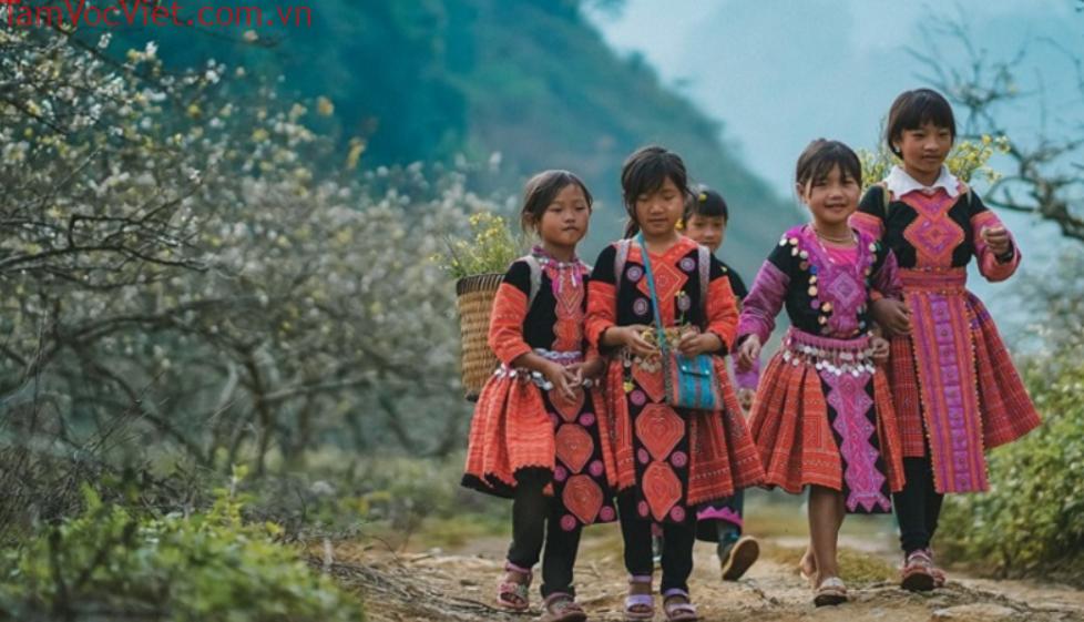 Du lịch Tà Xùa - Kinh nghiệm săn mây tại điểm đến đẹp nhất Sơn La