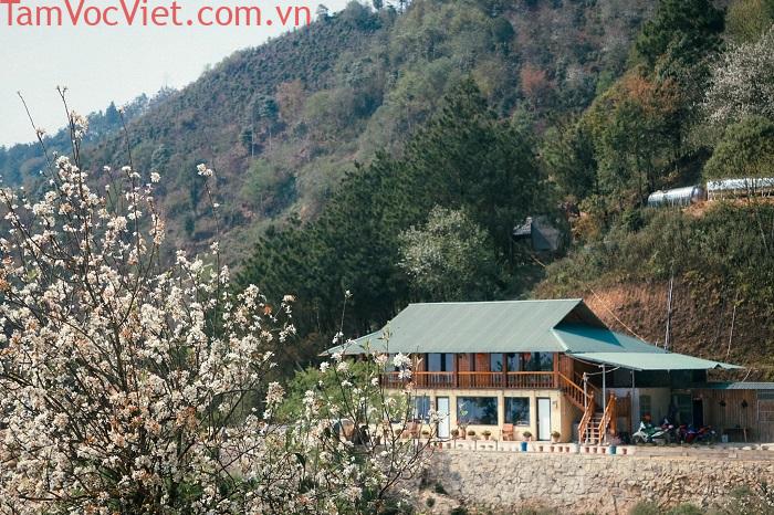 Nhà Mer Homestay Tà Xùa có gì mà dân tình 'liêu xiêu'?