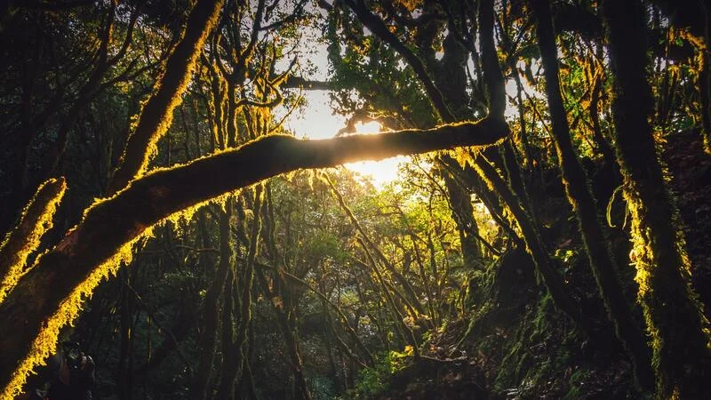 Tour Tà Xùa: Tổng Hợp Điểm Tham Quan, Lịch Trình, Báo Giá, Kinh Nghiệm Săn  Mây & Gợi Ý Đại Lý Uy Tín