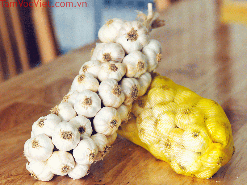 Tỏi Phan Rang Ninh Thuận có gì ngon? Giá & gợi ý địa chỉ mua uy tín nhất – VinWonders