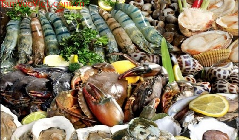 Hình Ảnh Hải Sản Tươi Sống: Bí Quyết Nhận Diện Chất Lượng Và Ứng Dụng Thực Tế - Khu du lịch Bửu Long