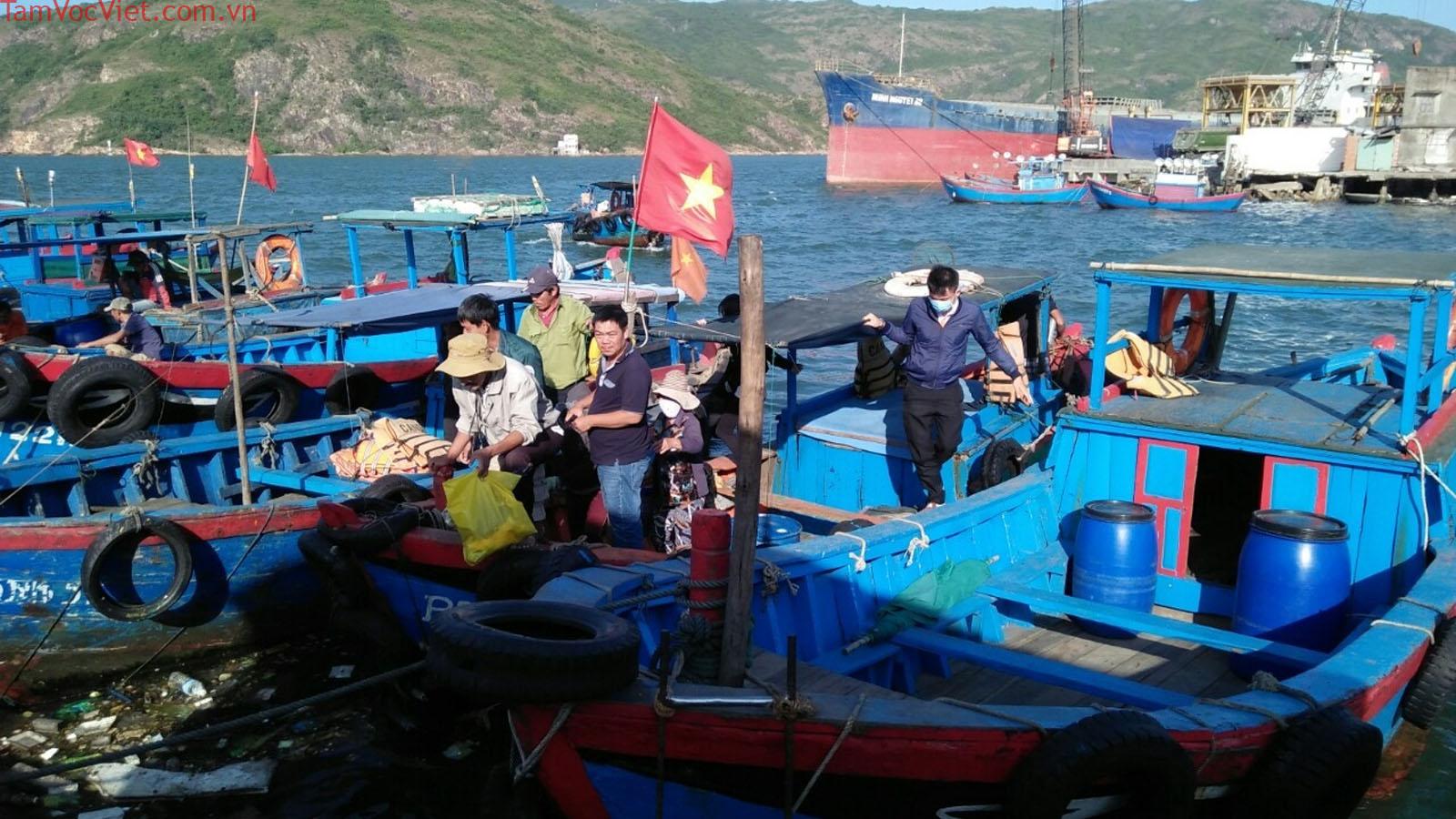 Cảng Cá Quy Nhơn - Bến Tàu Hàm Tử