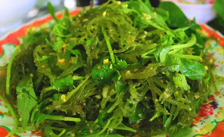 Gỏi rong biển Lý Sơn ®Hitour