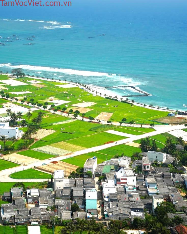 Hình ảnh Ghim câu chuyện