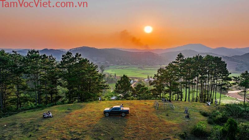 Đồi Cỏ Lau Măng Đen - Thiên Đường Thơ Mộng Giữa Lòng Tây Nguyên