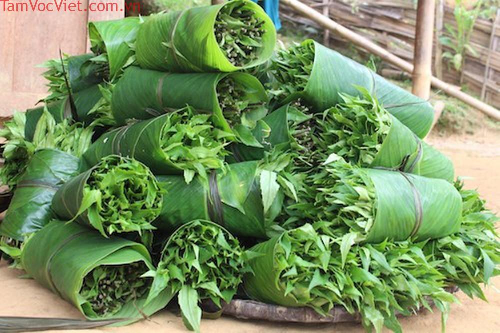 Kinh Nghiệm Du Xuân Măng Đen Dịp Tết Nguyên Đán - Măng Đen Trip