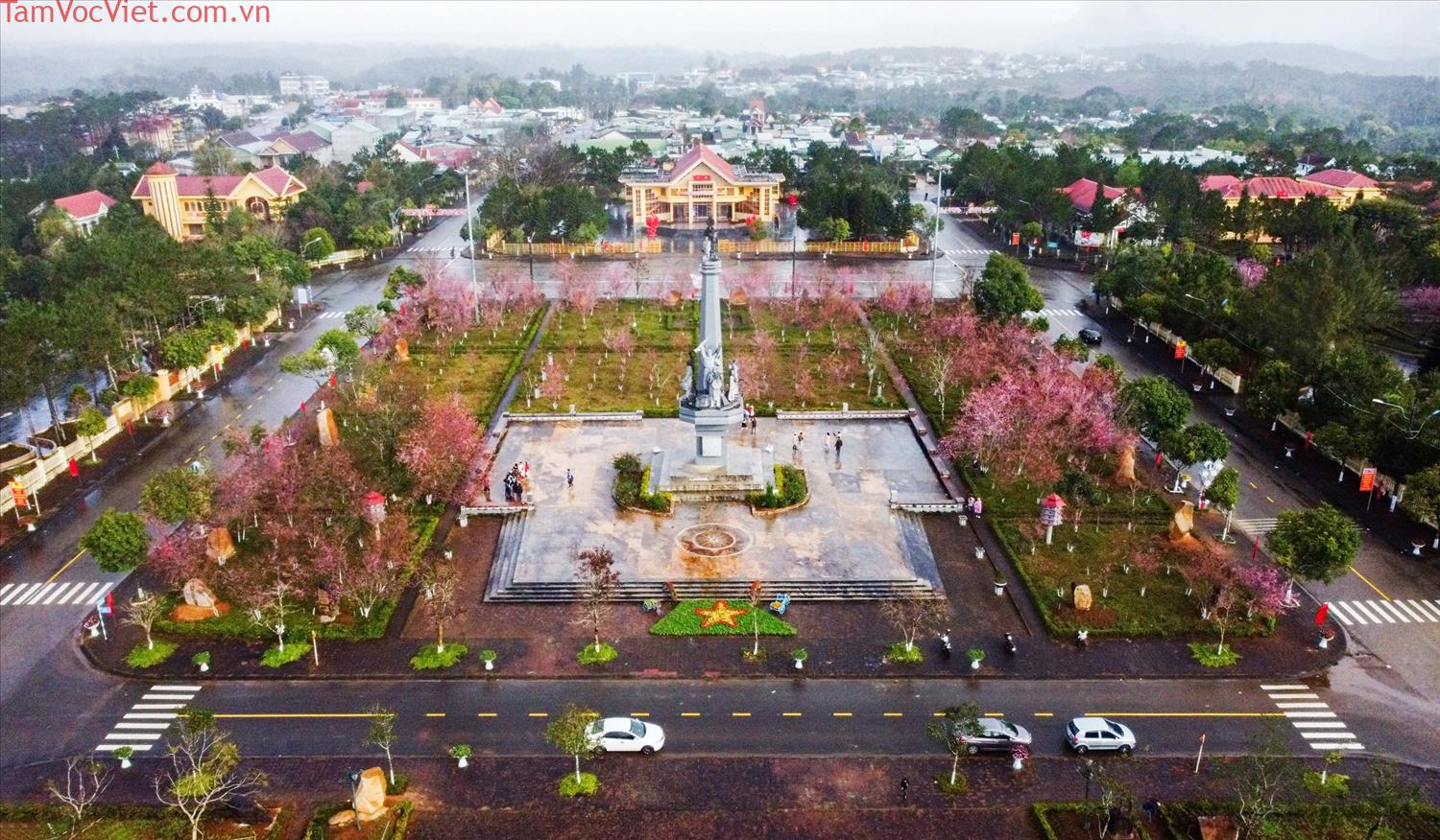 Lên Măng Đen ngắm hoa mai anh đào | Dân tộc và Phát triển
