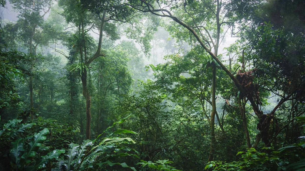 Vườn Quốc Gia Cúc Phương