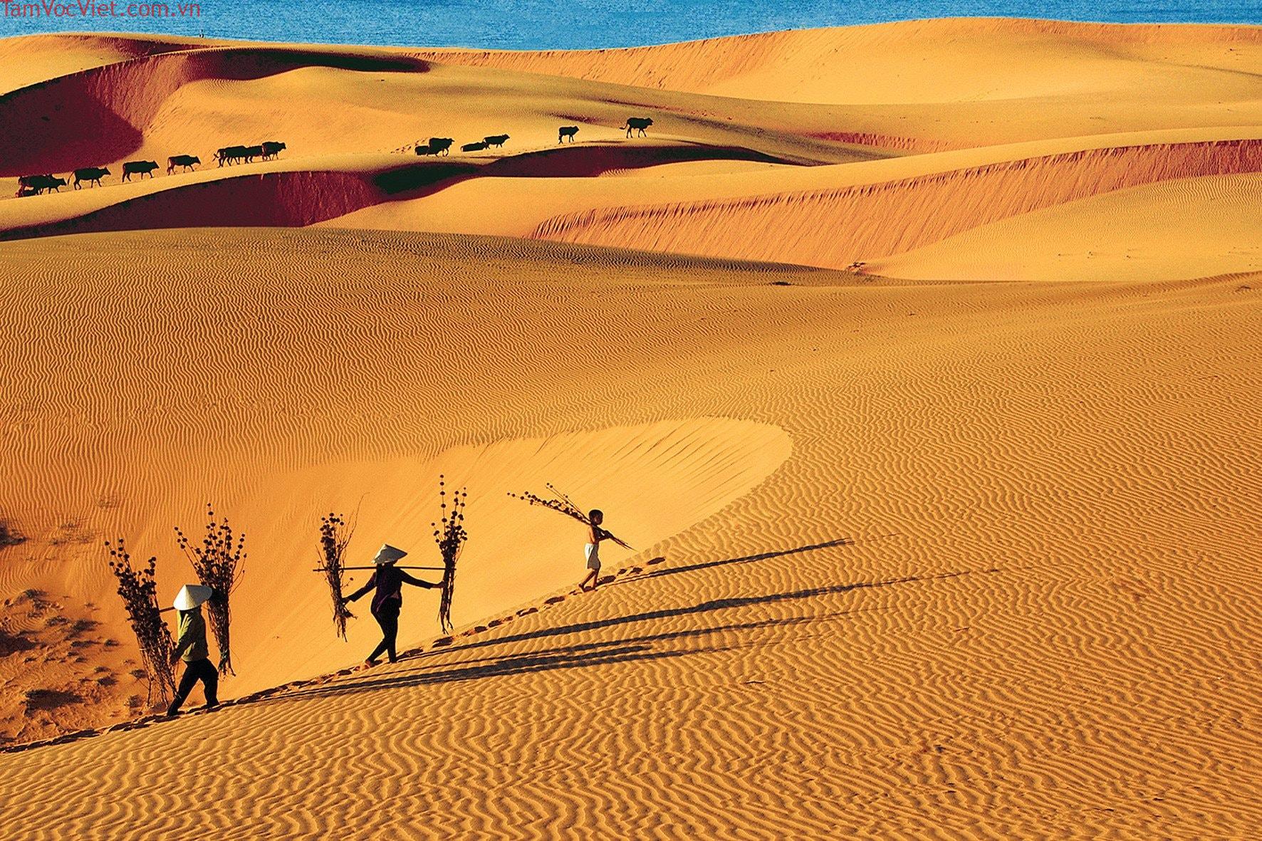 Đồi cát bay Mũi Né được mệnh danh là tiểu sa mạc Sahara tại Việt Nam