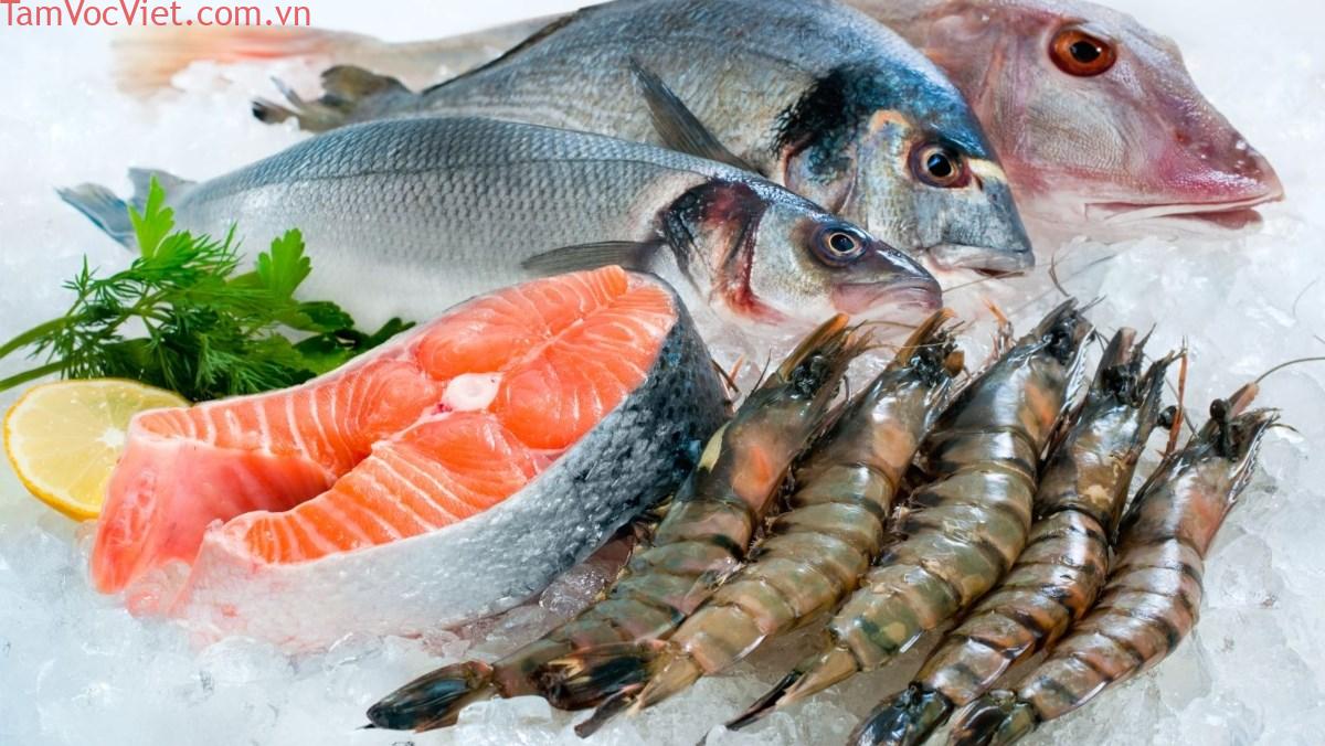 Xử lý hải sản trước khi bảo quản và cách bảo quản hải sản tươi sống