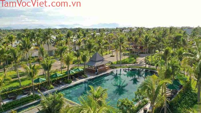 Về Bãi Dừa Tư Nghĩa Quảng Ngãi nghe gió biển, ngắm rừng dừa xanh mát