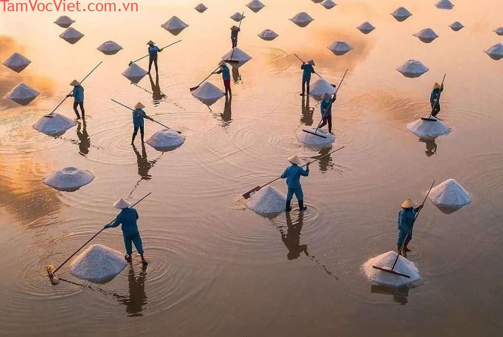 Đồng muối Sa Huỳnh vào sáng sớm