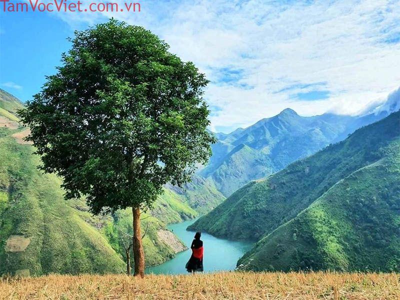 Vẻ đẹp của cây táo mèo cô đơn Tà Xùa